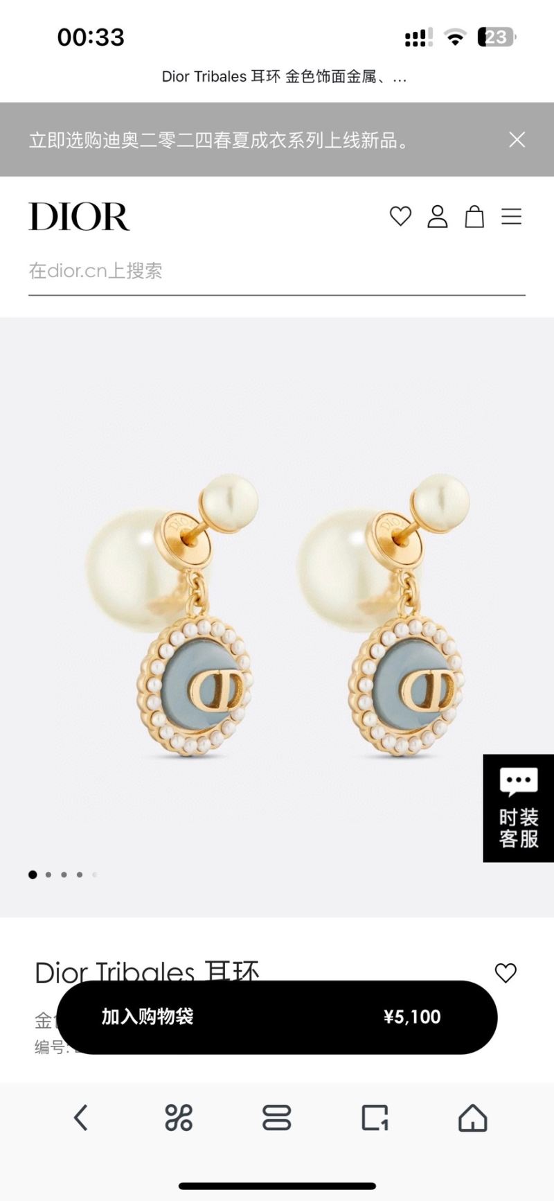 Christian Dior Earrings